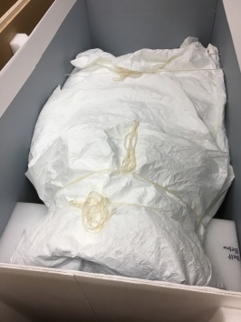 "Venus has been wrapped up in Tyvek then tied carefully with twill tape before being put in a custom made box.
